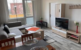 Apartman Ve Velkych Losinach