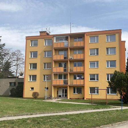 Apartman Ve Velkych Losinach Velké Losiny Zewnętrze zdjęcie