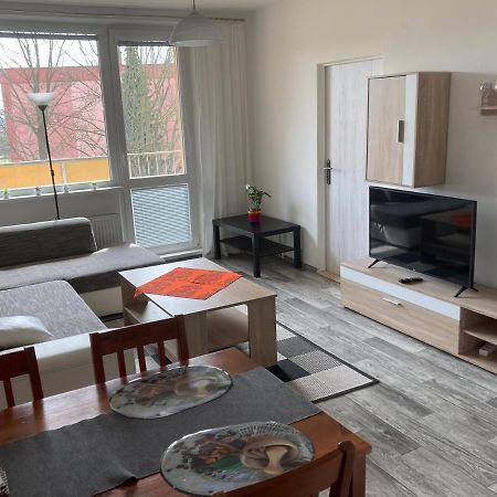 Apartman Ve Velkych Losinach Velké Losiny Zewnętrze zdjęcie